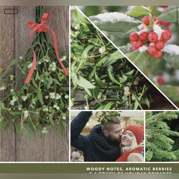 Yankee Candle Mistletoe,berries,pine boughs,holly,clove,2 wick,woody fragrance - Picture 5 of 7
